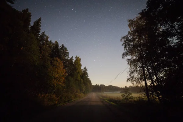 Long dirt road and starry sky in countryside at night moonlight