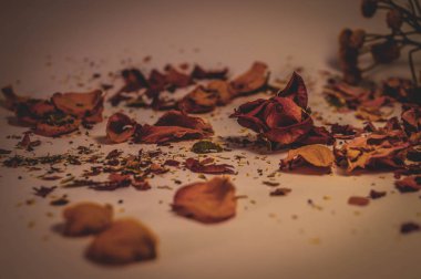 Kuru çiçek, tohum ve yaprakları eski kağıt üzerinde