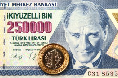 Türk Lirası sikke ve banknot, Türkiye'nin para birimi