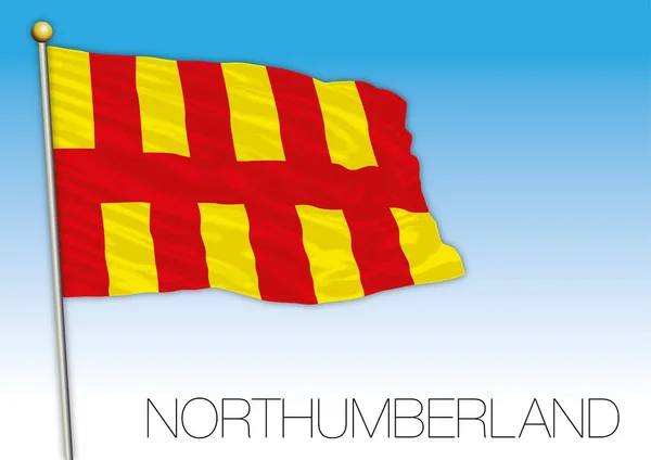 ノーサンバーランド旗 イギリス ベクトル イラスト — ストックベクタ