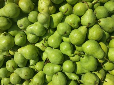 Meyve hasat ve taşıma için depolanan armut organik tarım