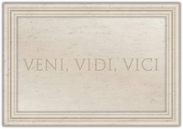Veni Vidi Vici Latijnse Zin Van Cesar Emperator Oude Marmeren — Stockvector
