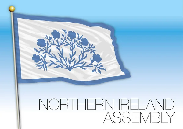 Irlanda Del Norte Bandera Asamblea Reino Unido Vector Ilustración — Vector de stock