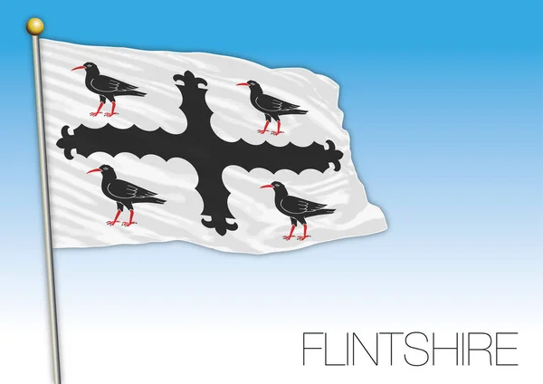 Bandera Del Condado Flintshire Reino Unido Gales Vector Ilustración — Vector de stock