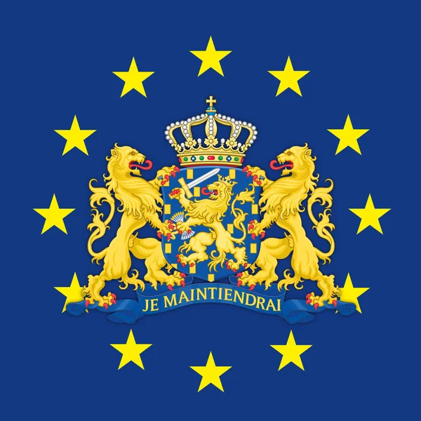 Wapenschild Van Nederland Vlag Van Europese Unie Vectorillustratie — Stockvector