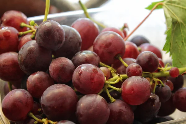 Uvas Recién Recolectadas Listas Para Venta Tienda — Foto de Stock