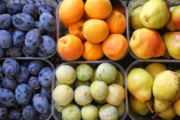 Varias Frutas Listas Para Venta Tienda —  Fotos de Stock