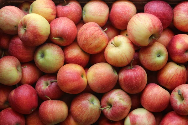 Manzanas Listas Para Venta Tienda —  Fotos de Stock