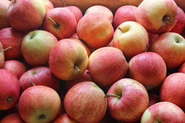 Μήλα Έτοιμα Προς Πώληση Στο Κατάστημα — Φωτογραφία Αρχείου