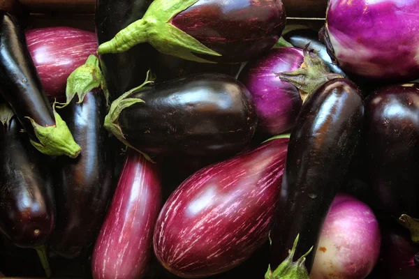 Eggplants ready for sale in the store, organic farming