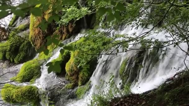 Jeziora Plitwickie Chorwacja Naturalne Wodospady Strumienie Wody Parku — Wideo stockowe