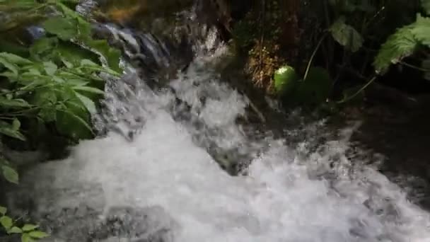 Plitvice Gölleri Hırvatistan Doğal Şelaleler Parktaki Akıntıları — Stok video