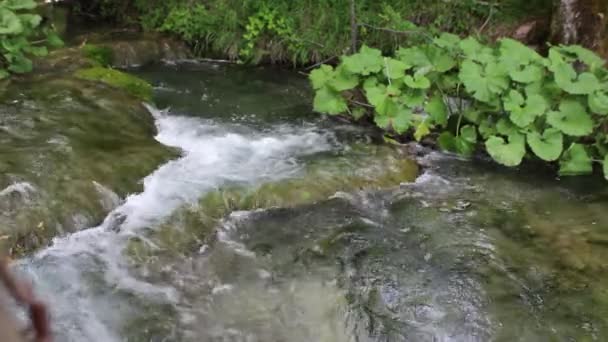 Lagos Plitvice Croácia Cachoeiras Naturais Córregos Água Parque — Vídeo de Stock