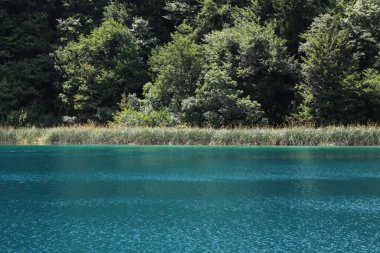 Plitvice gölleri, Hırvatistan, doğal şelaleler ve parktaki su akıntıları