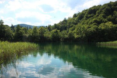 Plitvice gölleri, Hırvatistan, doğal şelaleler ve parktaki su akıntıları
