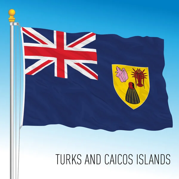 Die Offizielle Nationalflagge Der Turks Und Caicos Inseln Vektorillustration — Stockvektor