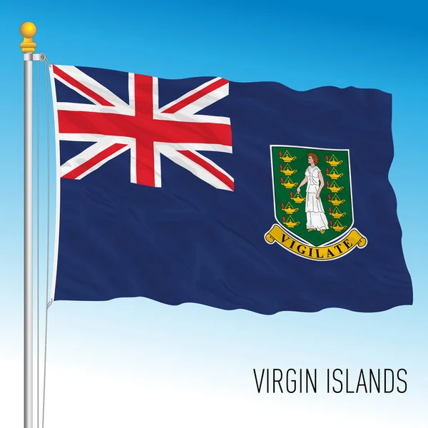 Britse Maagdeneilanden Officiële Nationale Vlag Vector Illustratie — Stockvector