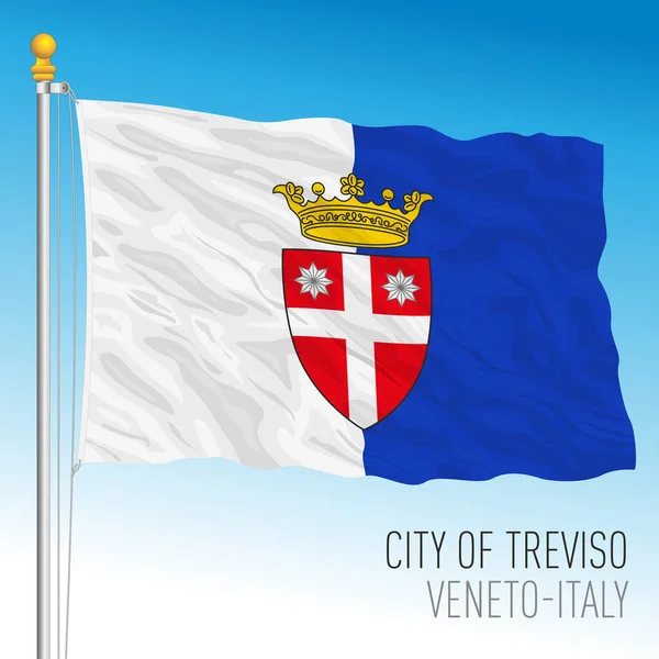 Treviso Official Flag City Municipality Veneto Italy Vector Illustration — 图库矢量图片