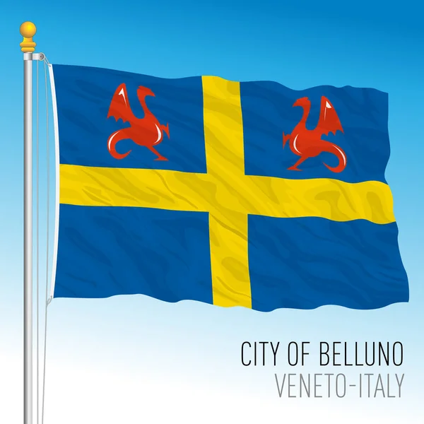 Belluno Flag City Municipality Veneto Italy Vector Illustration — Stock Vector