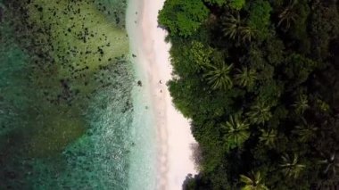 Cennet plaj üzerinde uçan: palmiye ağaçları ve Malezya kristalli su