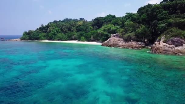 Filmagem Aérea Voando Acima Praia Tropical Com Coqueiro Água Azul — Vídeo de Stock