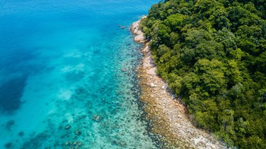 Malezya tropikal plaj