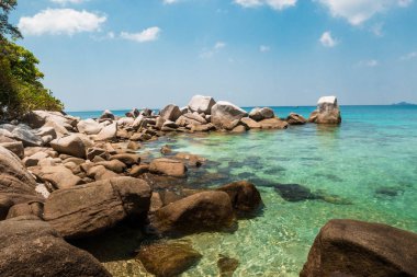 Yaz aylarında ıssız tropik plaj. Şnorkel için pastoral su. Kaplumbağa Plajı (Malezya)