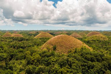 Bohol, Filipinler'deki Çikolata Tepeleri. Kahverengi tepeler yüzlerce Amazing manzara