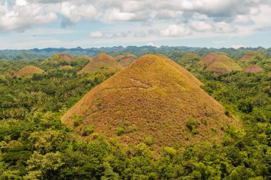 Bohol, Filipinler'deki Çikolata Tepeleri. Bohol, Filipinler'deki Çikolata Tepeleri. Kahverengi tepeler yüzlerce Amazing manzara