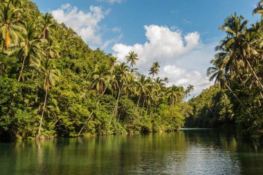 Bohol Adası'nda Loboc Nehri üzerinde yelken, Filipinler