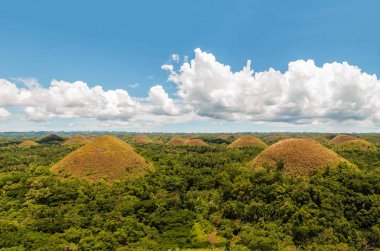 Bohol, Filipinler'deki Çikolata Tepeleri. Bohol en ünlü turistik