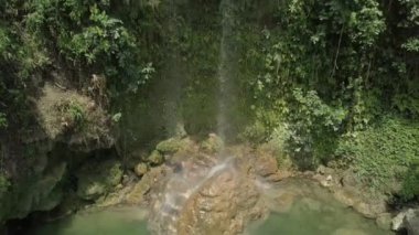 Ormanda yeşil ormanda güzel şelale. Şelaleli tropik yağmur ormanı. Filipinler, Cebu. 4k video. Seyahat