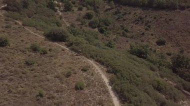 Kırsal patikada hızlı bir dağ bisikletine binen bir bisikletçinin havadan görünümü