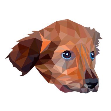 Köpek düşük Poli