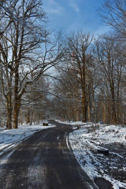 Kış orman yolu. Hiç kimse. Ağaçların dalları üzerinde kar. Kış güneşli gün. 