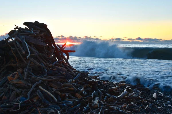 Burza Morzu Zachód Słońca Gałęzie Drzewa Wybrzeżu Fale Pianki Przychodzących — Zdjęcie stockowe