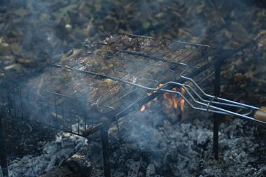 Domuz kaburga ateş üzerinde pişirme. Şiş kebap ızgara, Barbekü doğada bir alev ile. Yan görünüm.
