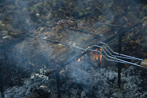 Domuz kaburga ateş üzerinde pişirme. Şiş kebap ızgara, Barbekü doğada bir alev ile. Yan görünüm.