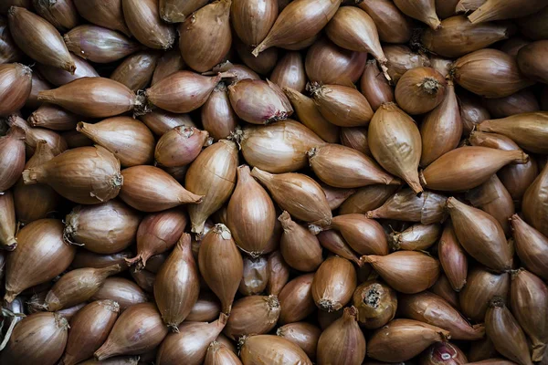 Ekim için yay. Taze soğan. Soğan arka plan.