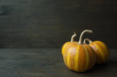 Dekoratif balkabağı. Cadılar Bayramı Natürmortu. Yandan bak. Karanlık arka plan. Metin için alan.