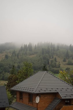 Bir doğa rezervinde bir dağ yamacında sisli orman. Sisteki dağ.