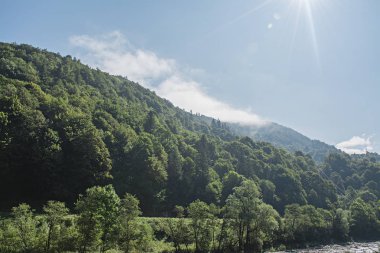 Bir doğa rezervinde bir dağ yamacında sisli orman. Sisteki dağ.