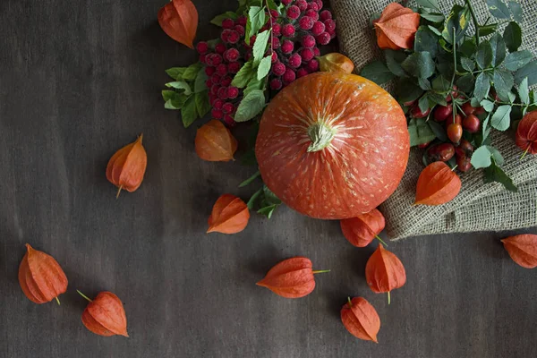 Concept d'automne avec fruits et légumes de saison. Citrouille, figues, feuilles d'automne. Le jour de Thanksgiving. Halloween . — Photo
