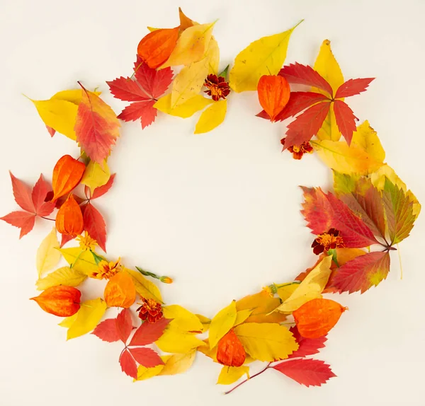 Aydınlık bir masadaki çok renkli yaprakların sonbahar çerçevesi. Sonbahar kartpostalı. Boşluğu kopyala.