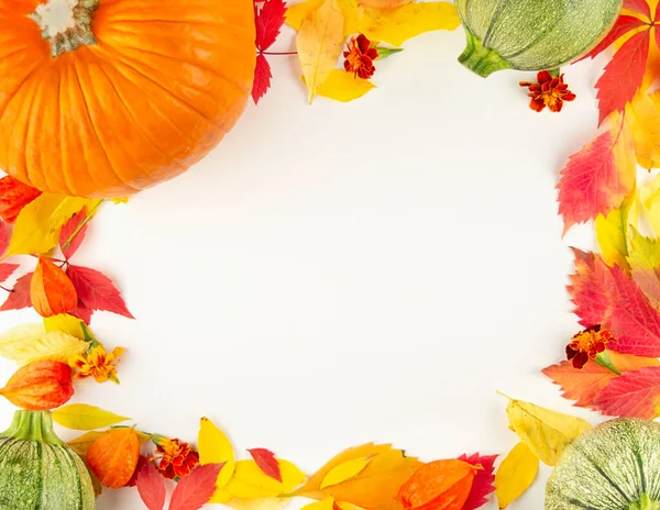 Autumn frame from multi-colored leaves and pumpkins on a light table. Autumn postcard. Copy space.