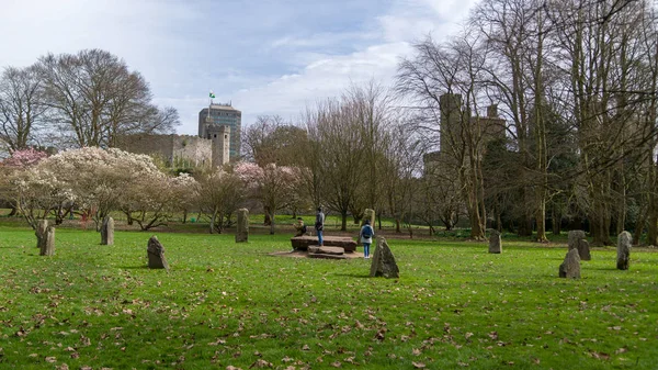 Bute Park Gorsedd Cercle de pierre — Photo