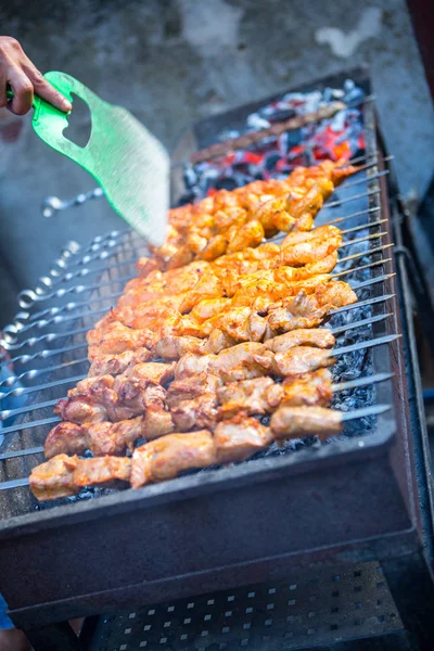 Barbecue Kebab Shish Frit Partir Viande Porc Viande Poulet Frit — Photo