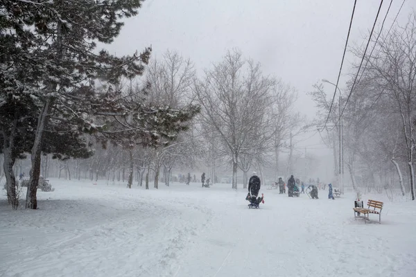 Vista Fuerte Tormenta Nieve Parque Ciudad —  Fotos de Stock