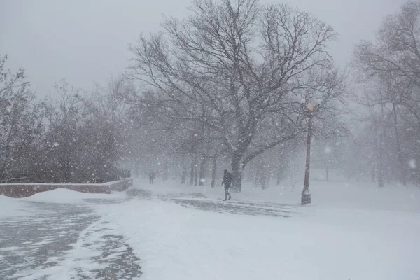 Vista Fuerte Tormenta Nieve Parque Ciudad —  Fotos de Stock