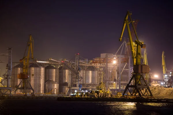 Port Korn Hiss Nattetid Industriella Havet Handel Port Merparten Last — Stockfoto